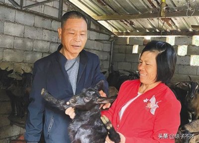 ​农村养羊，比较常见的几种羊圈，都是实景图