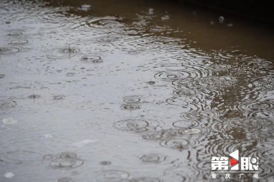 ​昨夜今晨 重庆10个区县降下暴雨