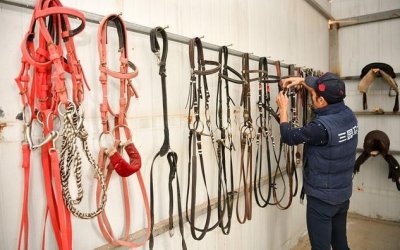 ​给“马“戴上嚼子，不能任其乱跑