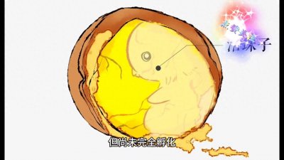 ​南京特色美食：活珠子，你敢吃吗？