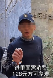 ​杨丽萍海景豪宅曝光“太阳宫”三面环海似仙境