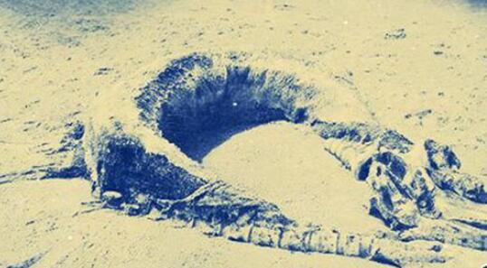 双鱼玉佩为何神秘 双鱼玉佩事件是真的吗