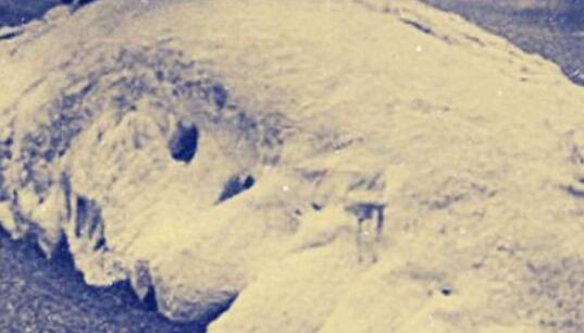 双鱼玉佩为何神秘 双鱼玉佩事件是真的吗