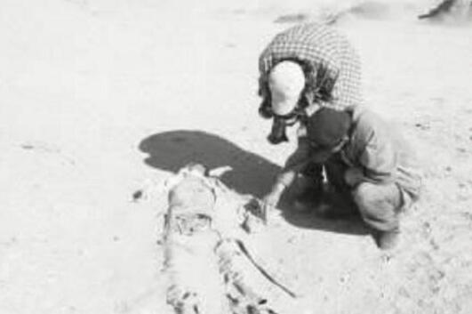 双鱼玉佩为何神秘 双鱼玉佩事件是真的吗